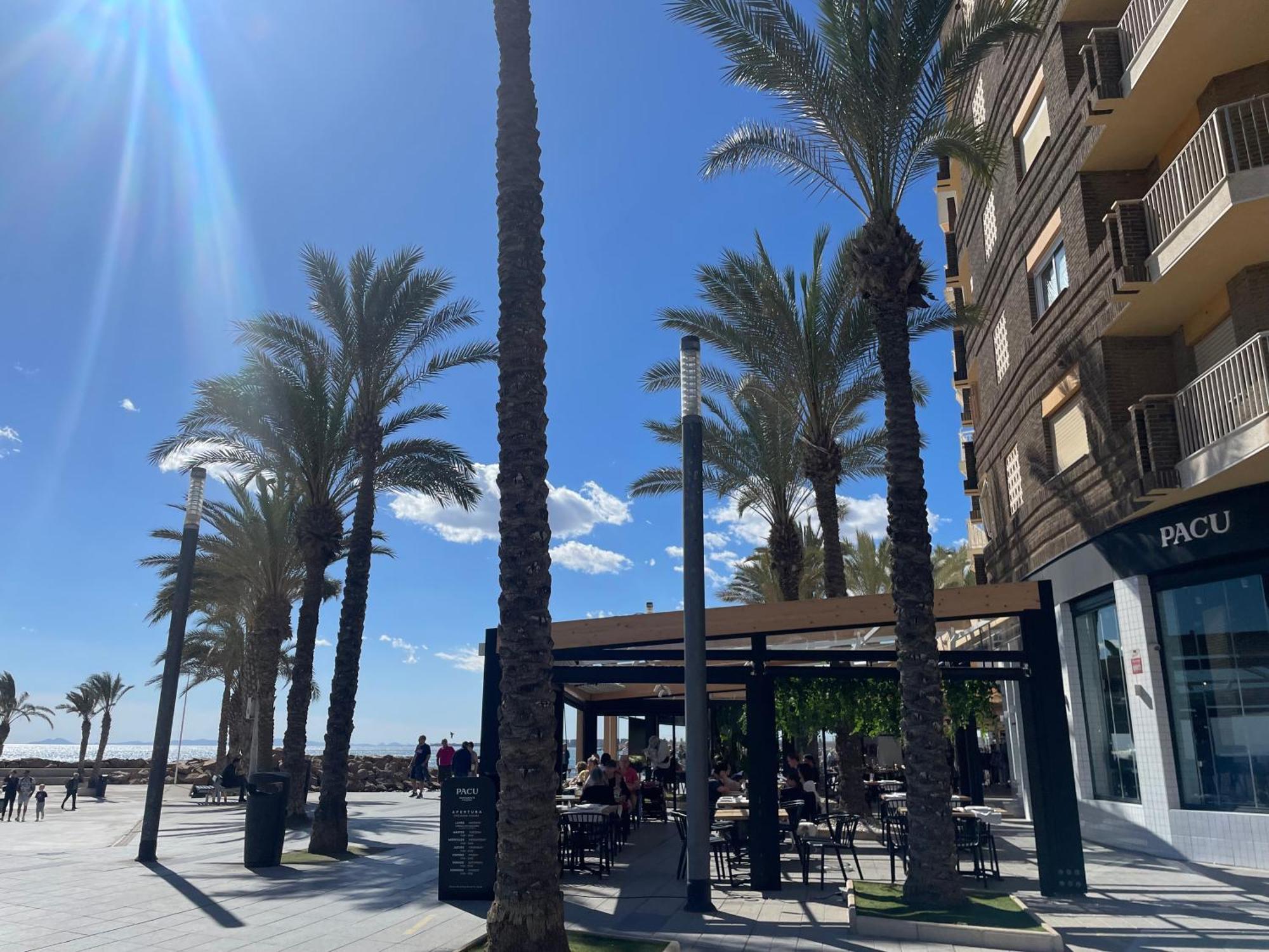Flamenco Chill Apartment 托雷维耶哈 外观 照片
