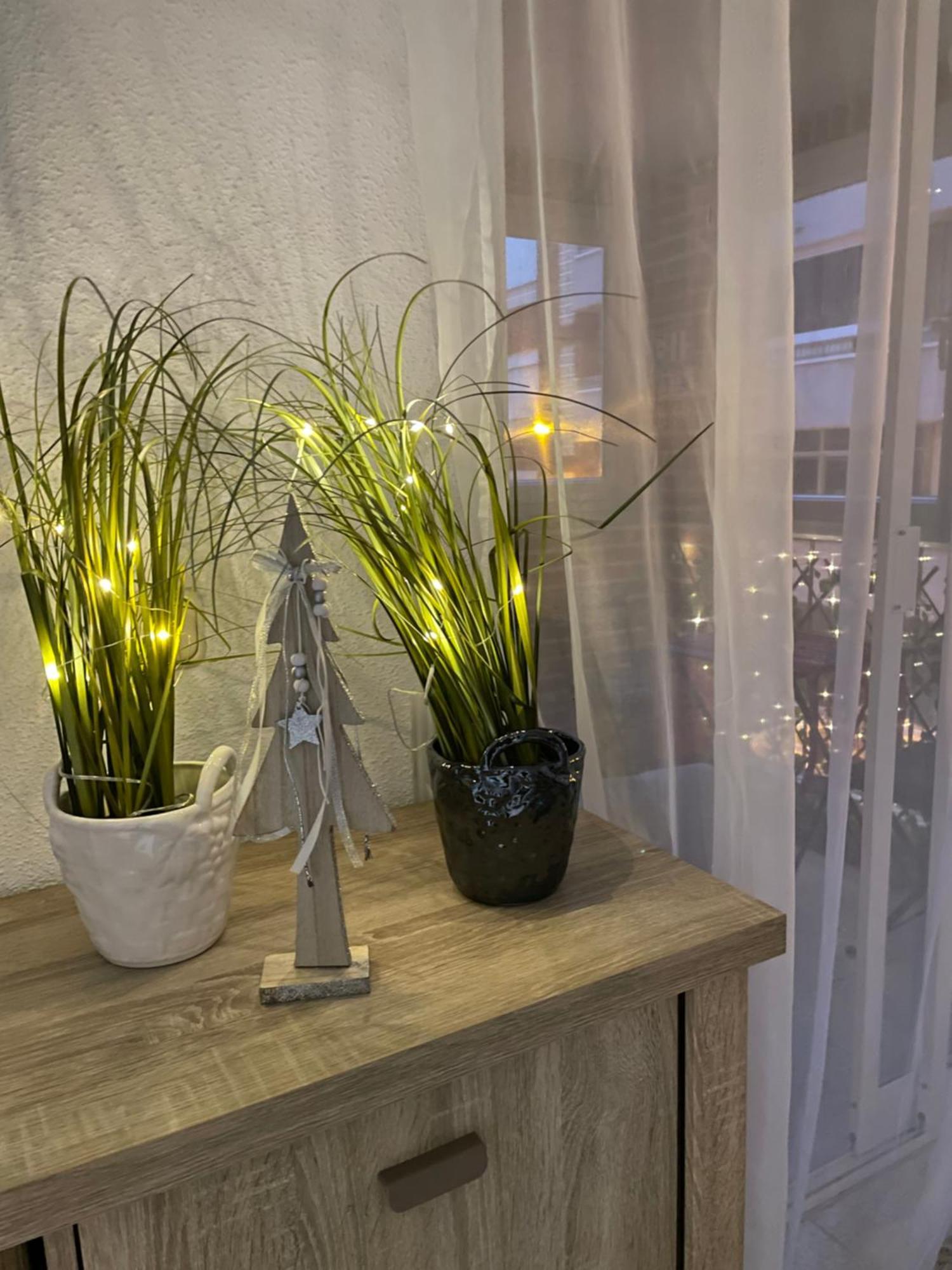 Flamenco Chill Apartment 托雷维耶哈 外观 照片